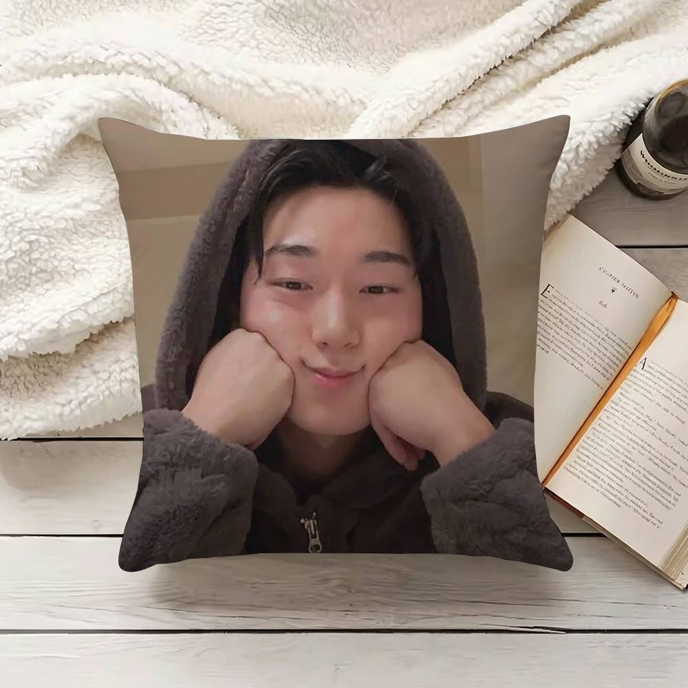 C-Choi S-San 枕カバー ソファ クッションカバー - Home.Textiles Cushion のレビューと価格